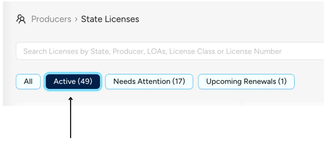 State licenses active tab